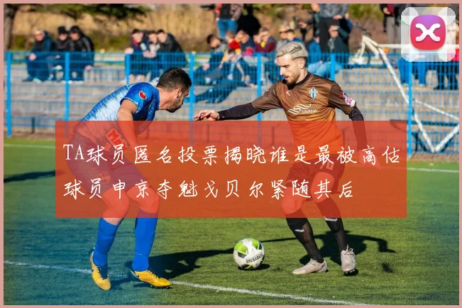 TA球员匿名投票揭晓谁是最被高估球员申京夺魁戈贝尔紧随其后
