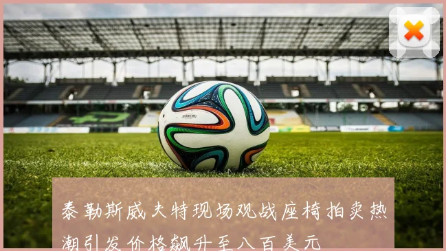 泰勒斯威夫特现场观战座椅拍卖热潮引发价格飙升至八百美元