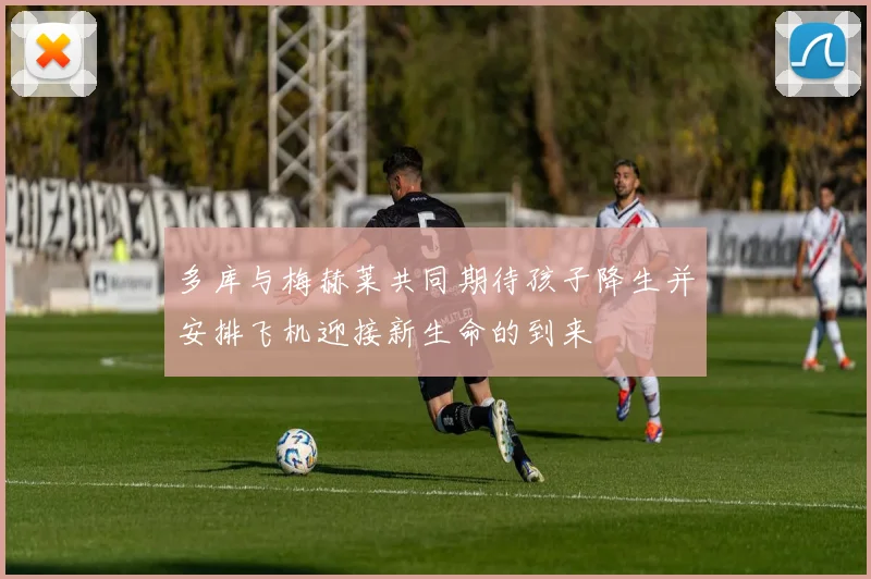 多库与梅赫莱共同期待孩子降生并安排飞机迎接新生命的到来